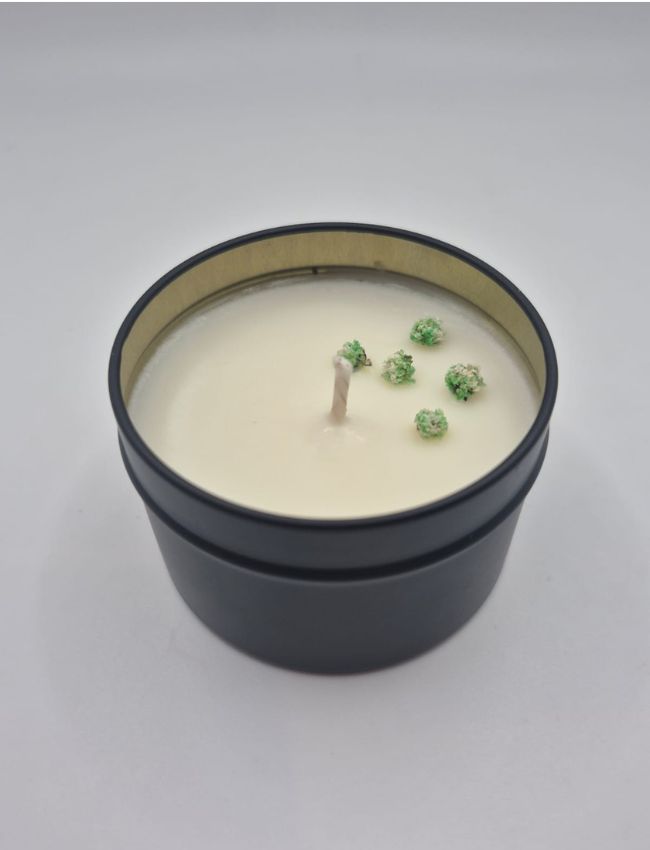 Fresh Focus candle with peppermint and eucalyptus wax botanical details.