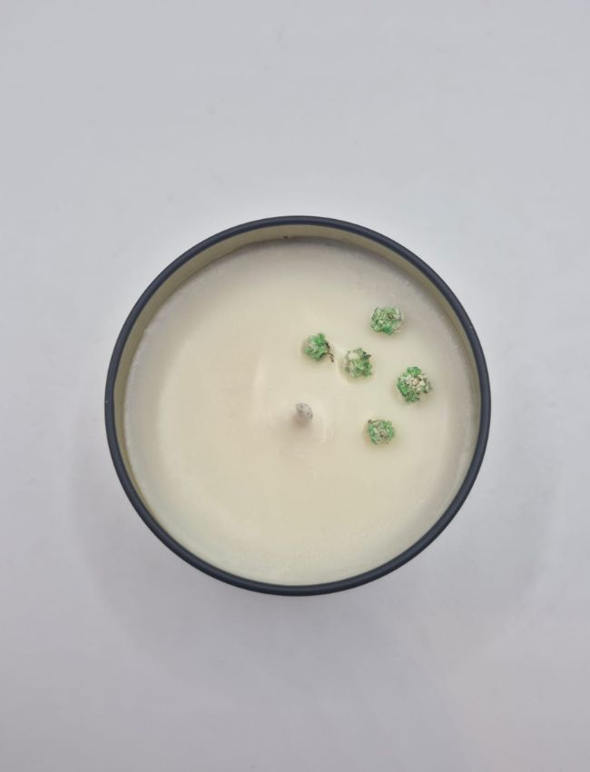 Top view of Fresh Focus soy candle with green herbal wax embeds.
