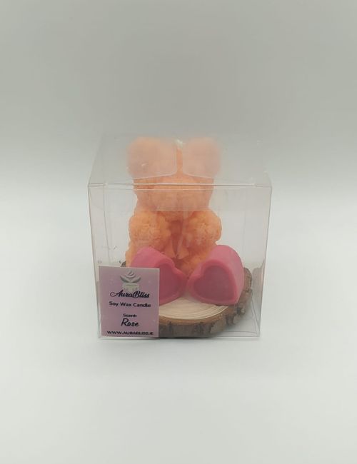 Teddy Bear & Wax Melts Set