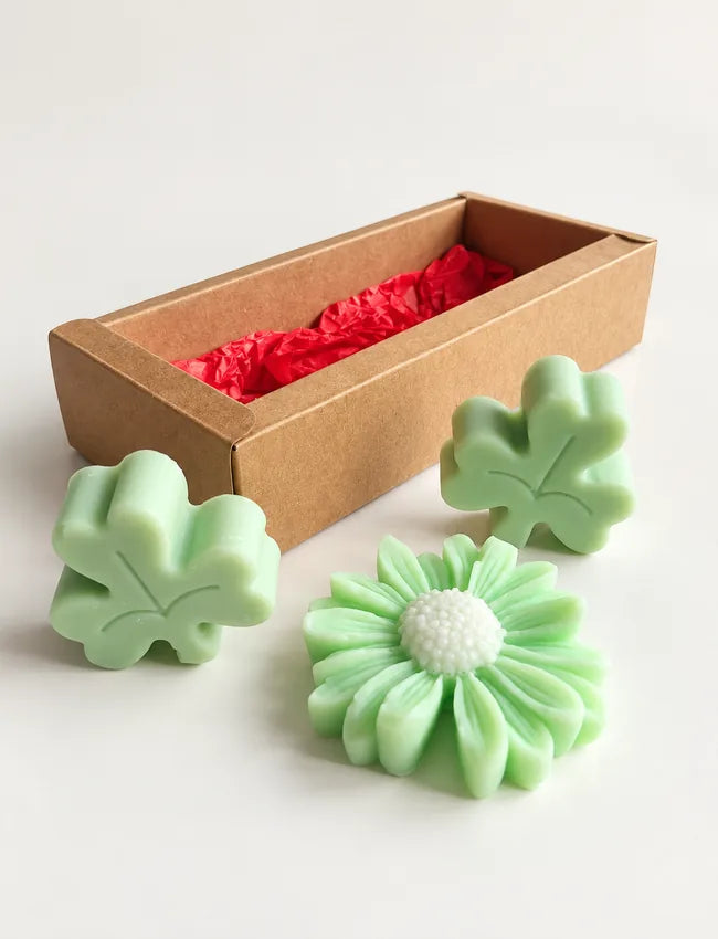 Decorative Soy Wax Melt Gift Box with green clover and daisy melts beside kraft gift box
