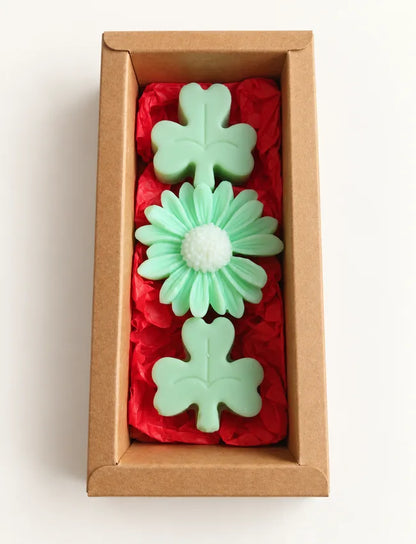 Open Decorative Soy Wax Melt Gift Box with green lucky Irish-inspired clover and daisy melts