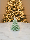 Winter Tree